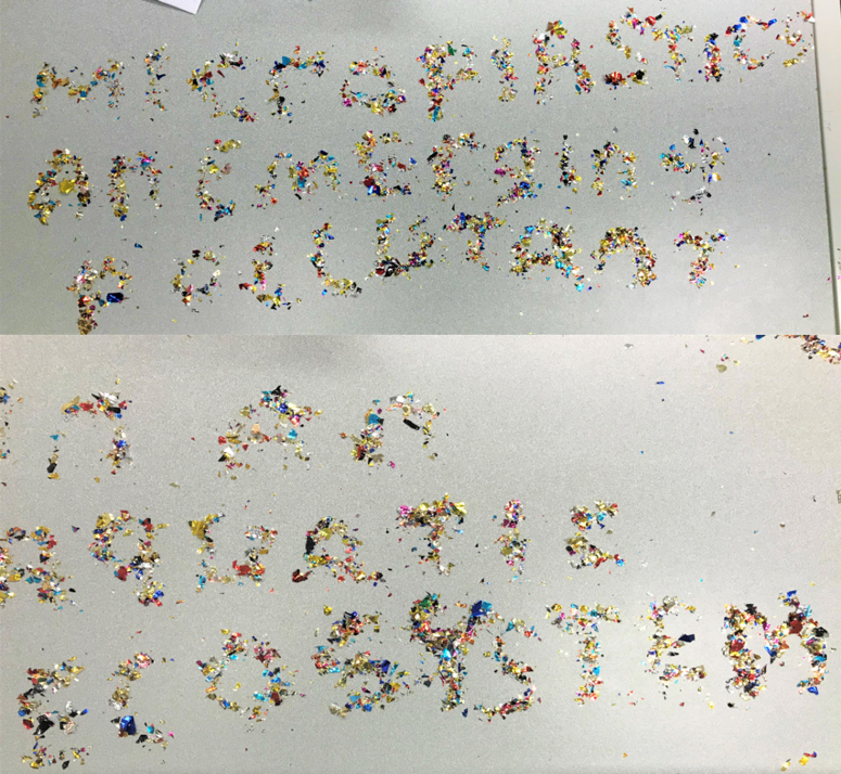 Microplastics- an emerging pollutant in an aquatic ecosystem.png