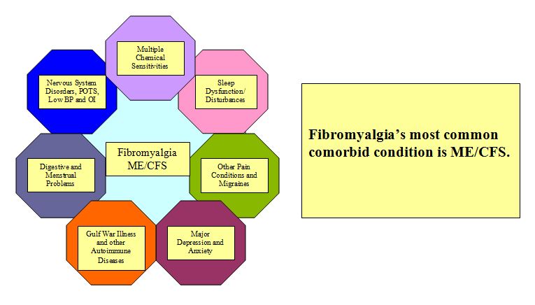 Fibromyalgia and comorbid conditions.jpg