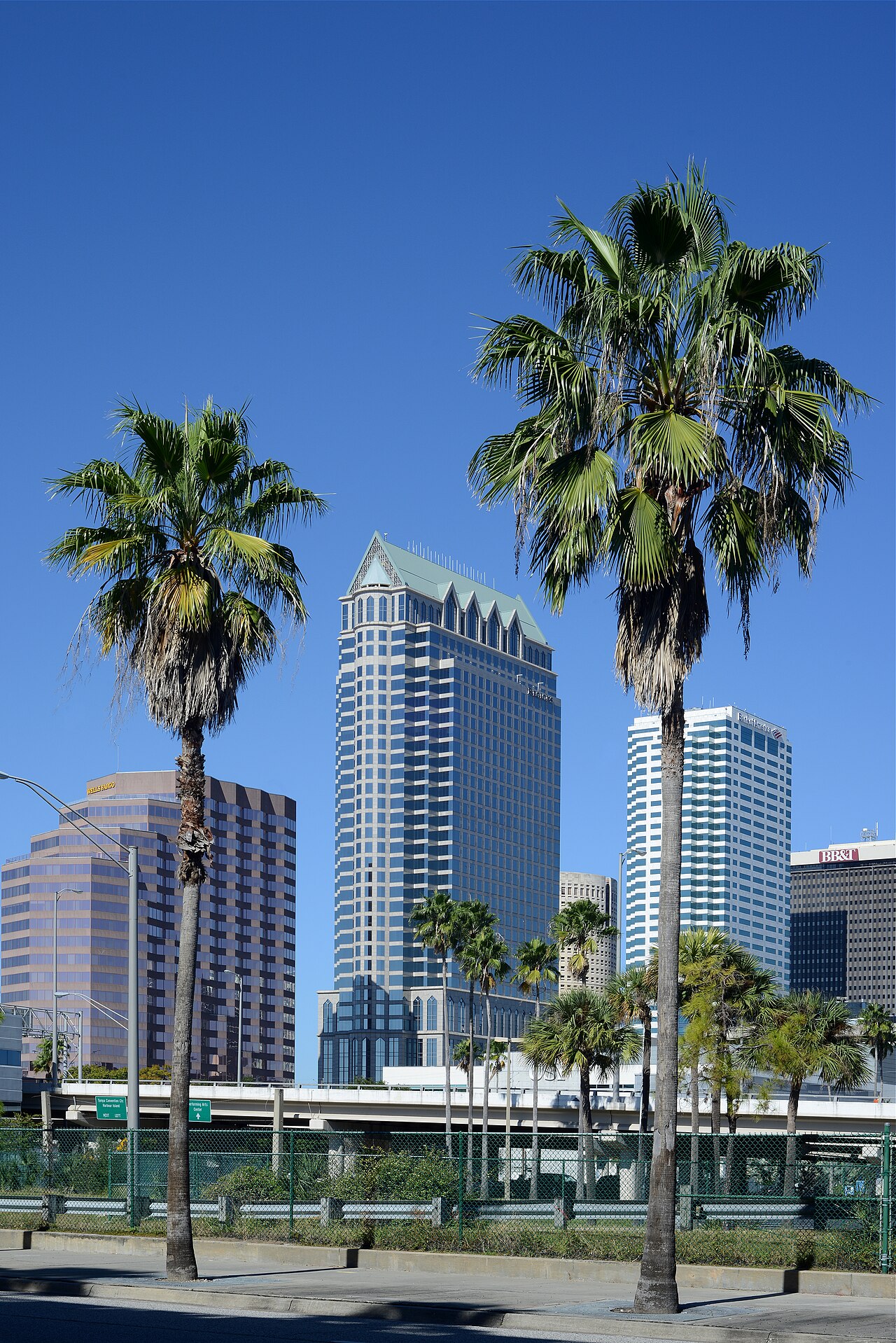 Tampa Florida November 2013-13.jpg