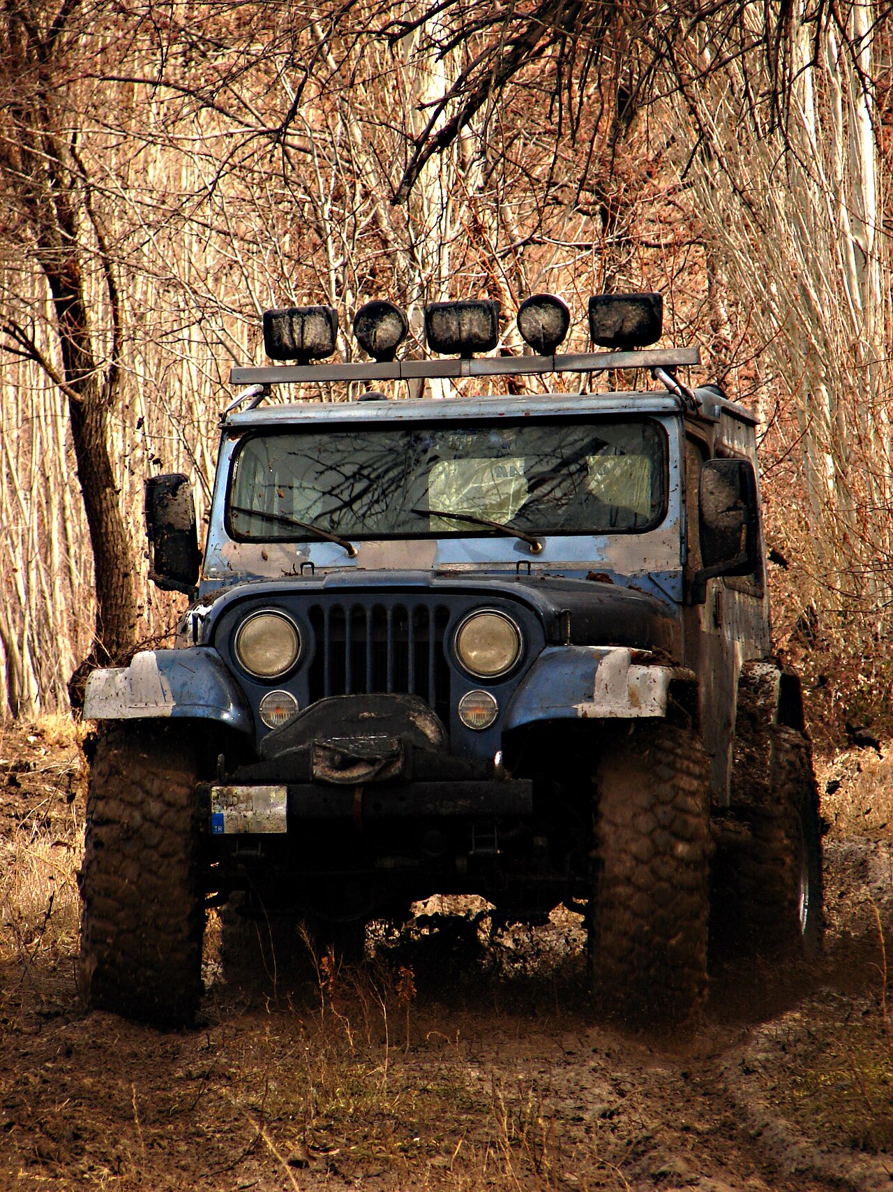 Offroad Jeep 05760 2.jpg