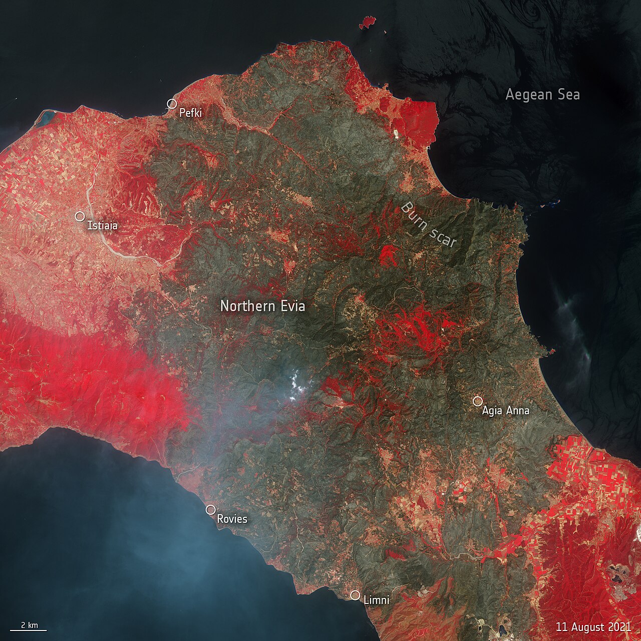 Wildfires ravage Greek island of Evia ESA23428713.jpeg