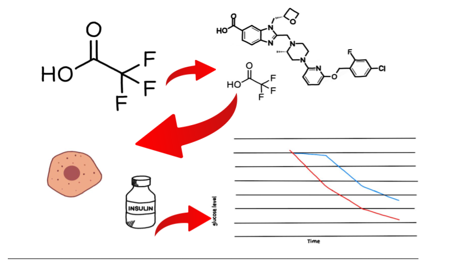Mechanism of Action of Semaglutide.png