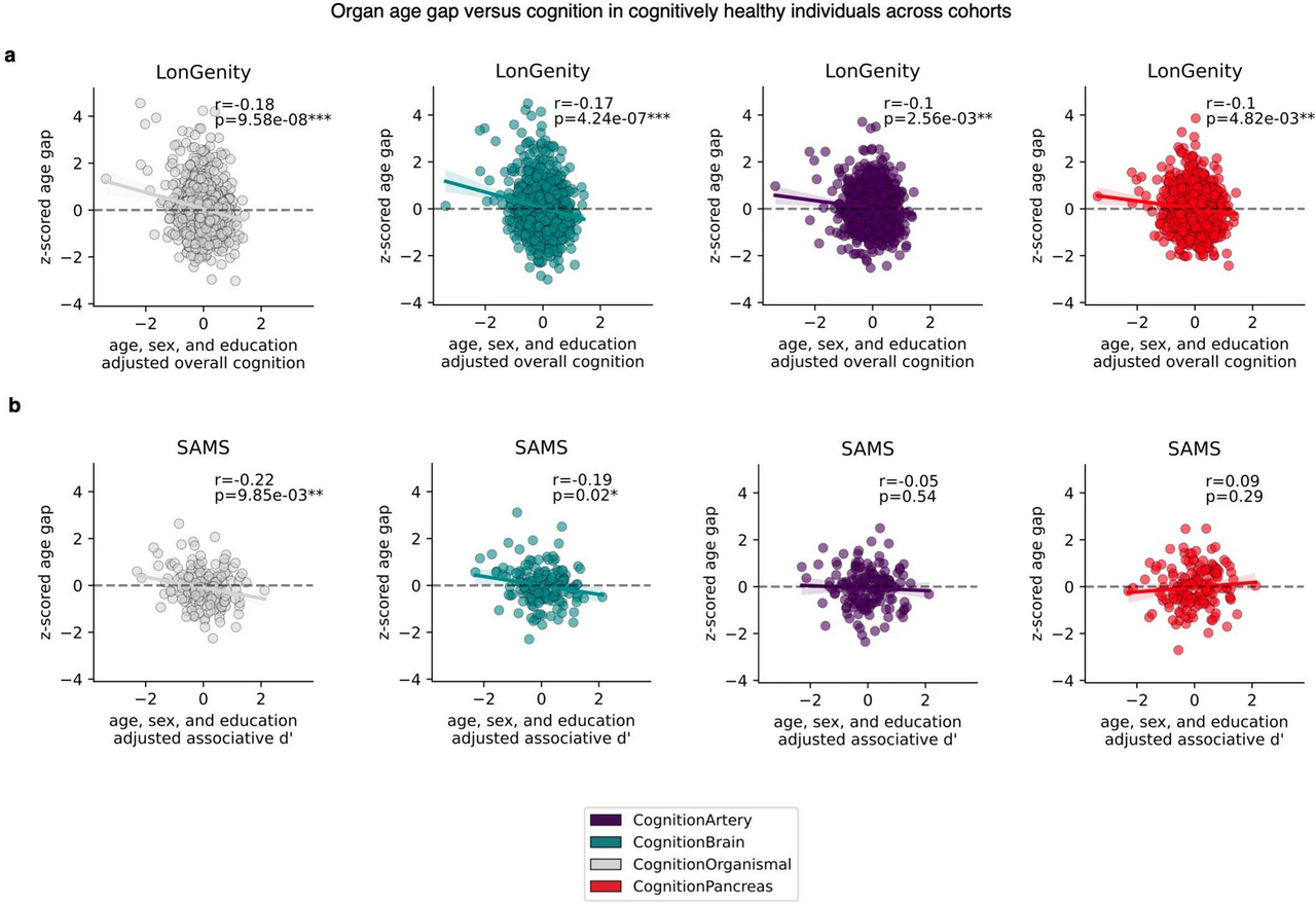 Cognition-optimized aging model associations with cognitive function in non-cognitively impaired individuals.webp