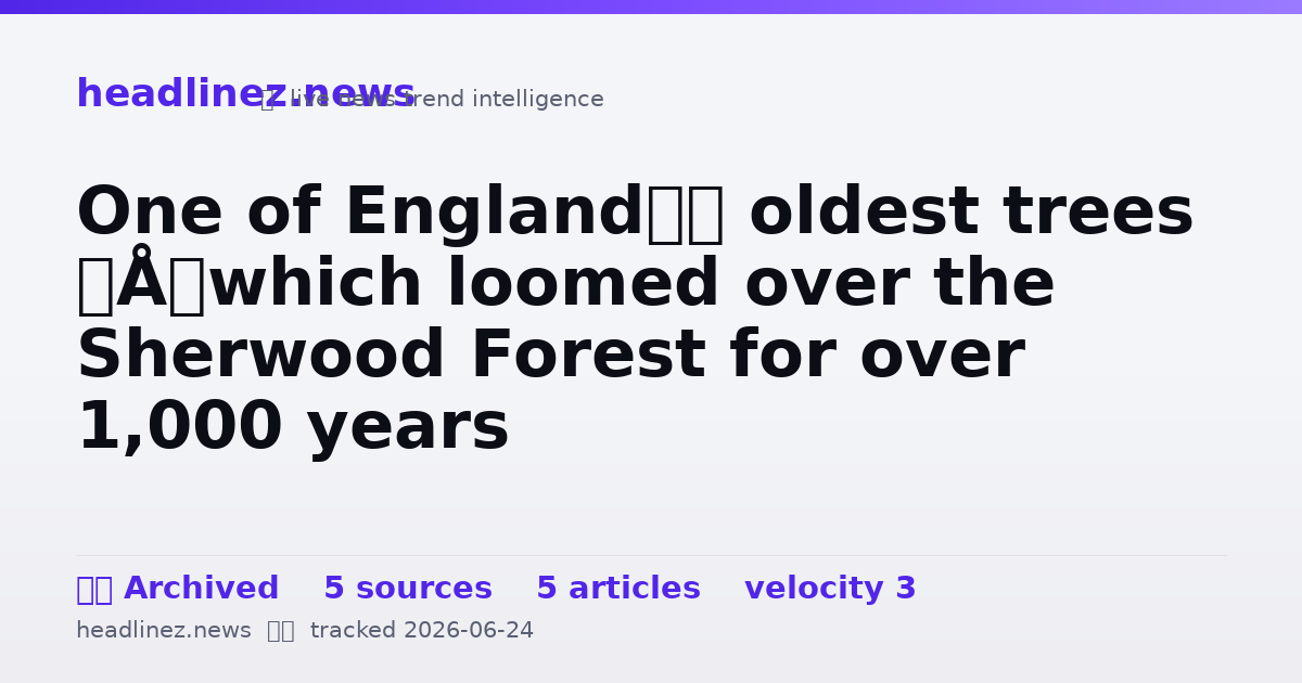 Visual summary for One of England’s oldest trees – which loomed over the Sherwood Forest for over 1,000 years