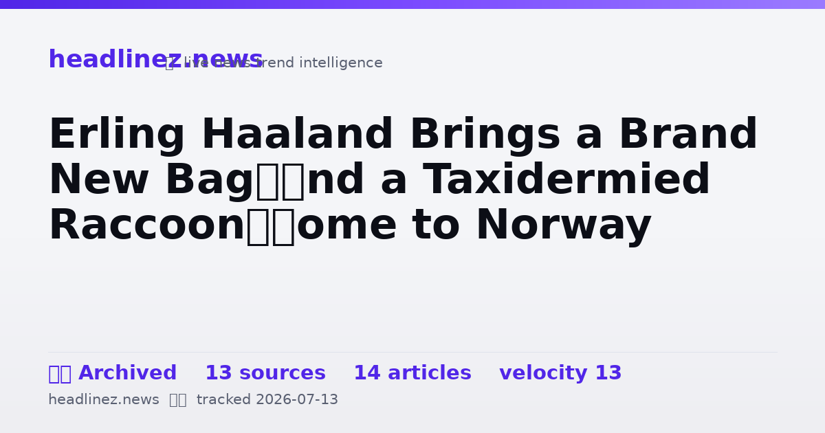 Visual summary for Erling Haaland Brings a Brand New Bag—and a Taxidermied Raccoon—Home to Norway