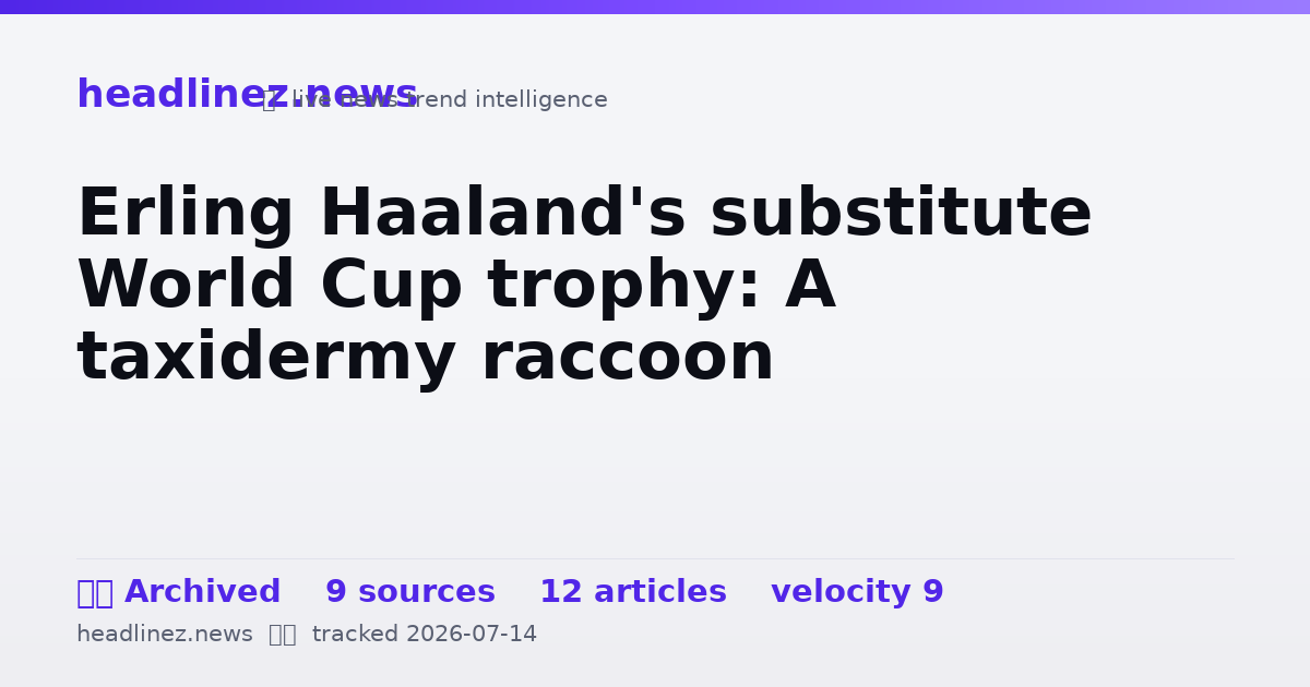 Visual summary for Erling Haaland's substitute World Cup trophy: A taxidermy raccoon