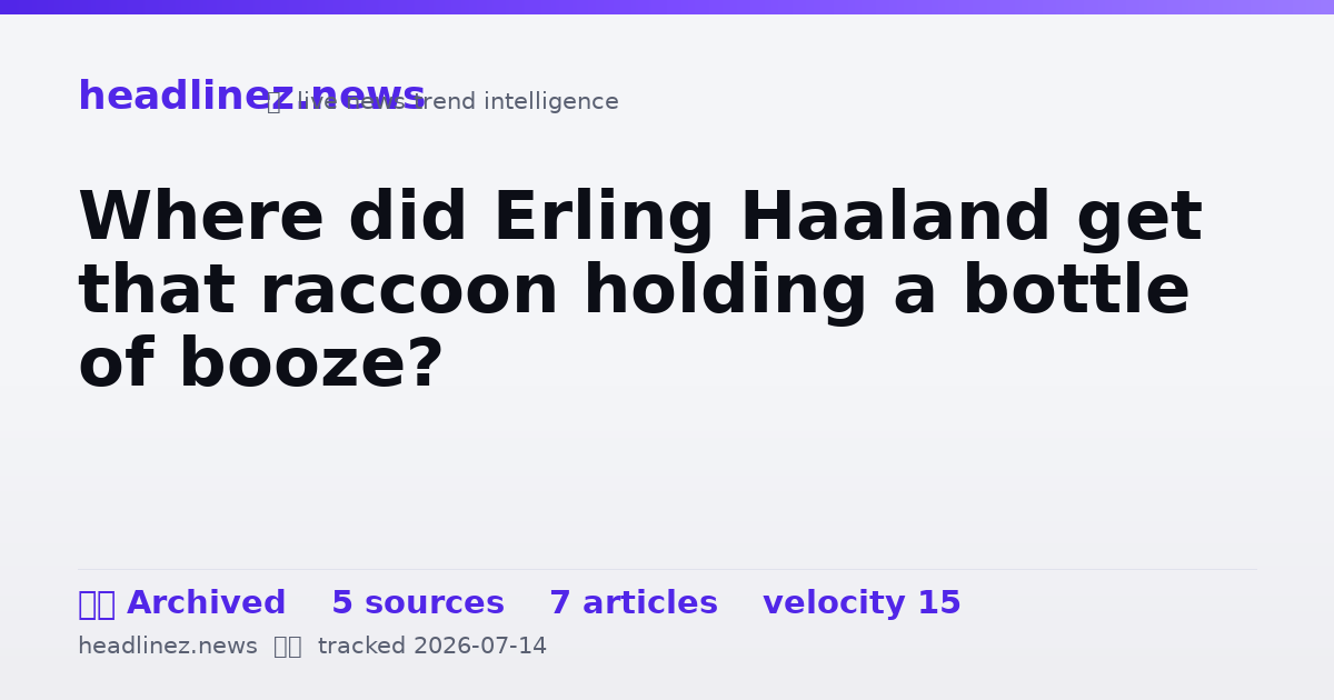 Visual summary for Where did Erling Haaland get that raccoon holding a bottle of booze?