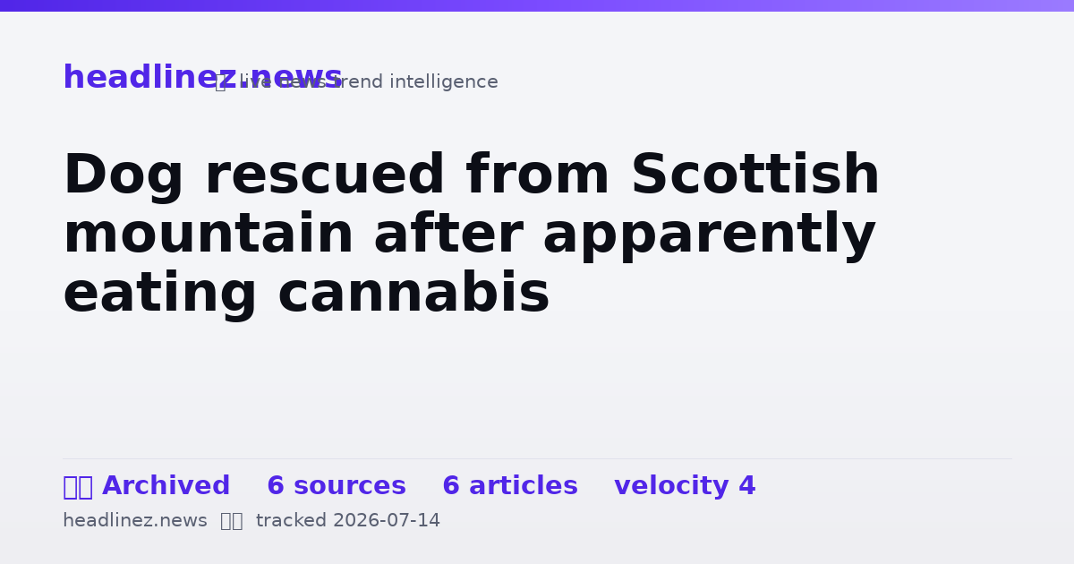 Visual summary for Dog rescued from Scottish mountain after apparently eating cannabis