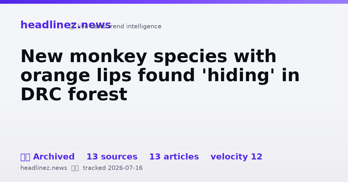 Visual summary for New monkey species with orange lips found 'hiding' in DRC forest