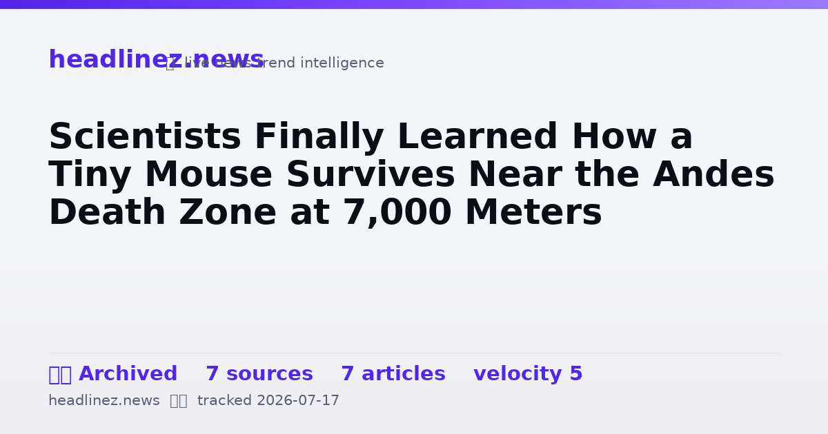Visual summary for Scientists Finally Learned How a Tiny Mouse Survives Near the Andes Death Zone at 7,000 Meters