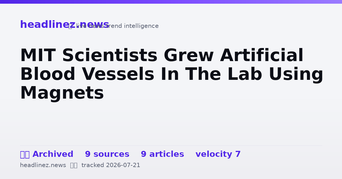 Visual summary for MIT Scientists Grew Artificial Blood Vessels In The Lab Using Magnets