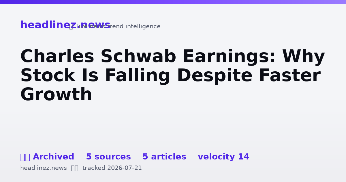 Visual summary for Charles Schwab Earnings: Why Stock Is Falling Despite Faster Growth