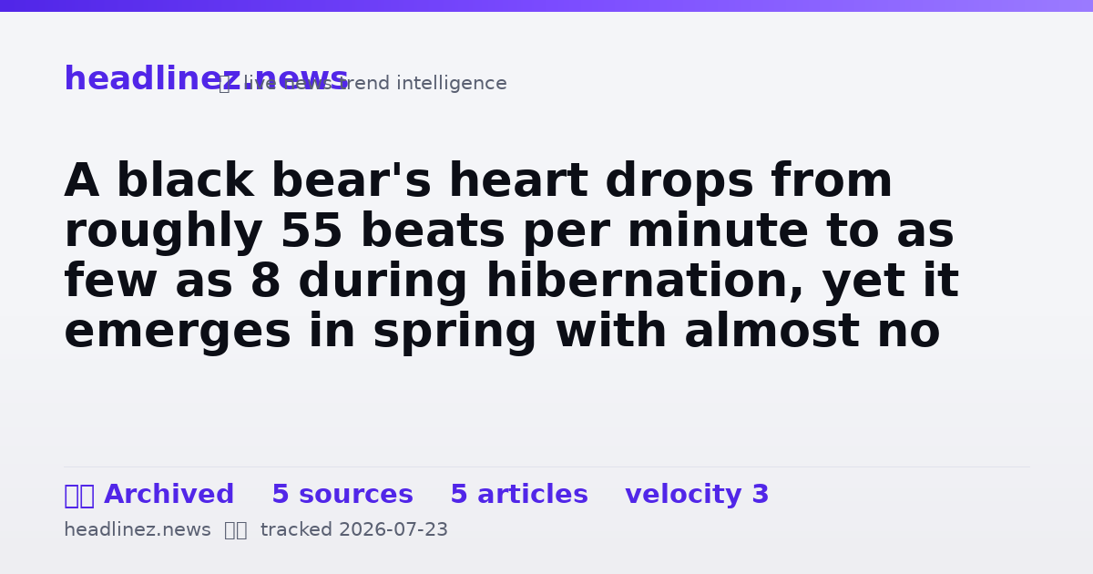 Visual summary for A black bear's heart drops from roughly 55 beats per minute to as few as 8 during hibernation, yet it emerges in spring with almost no muscle or bone loss: a biological trick space agencies are studying to protect astronauts on long missions