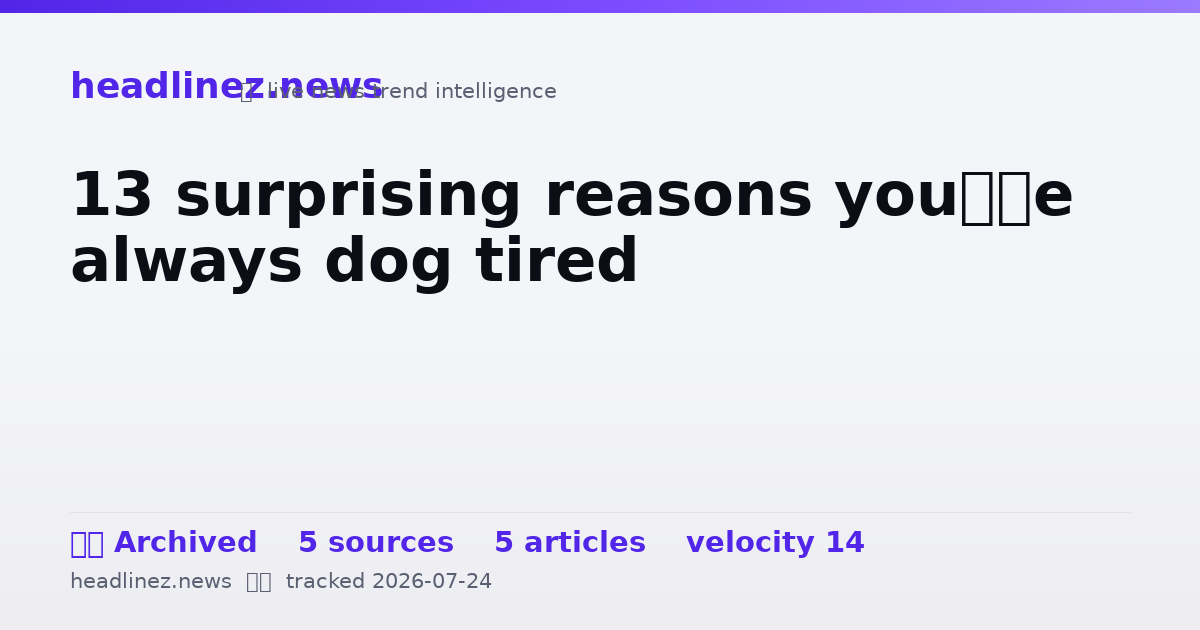 Visual summary for 13 surprising reasons you’re always dog tired