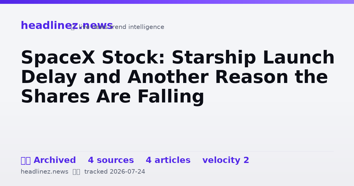 Visual summary for SpaceX Stock: Starship Launch Delay and Another Reason the Shares Are Falling