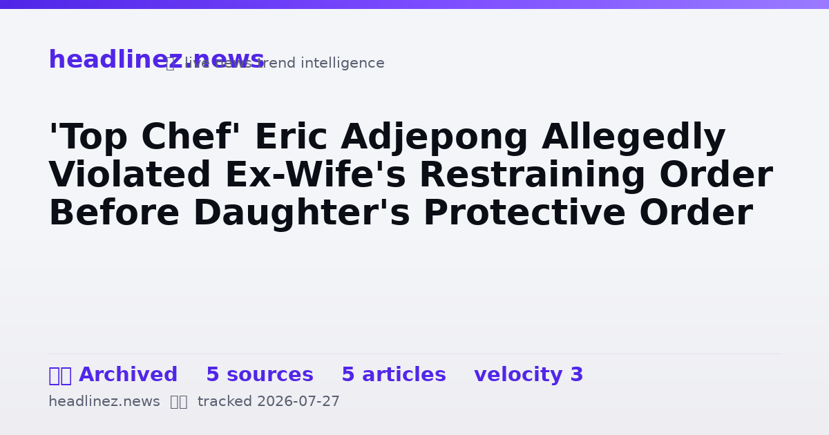 Visual summary for 'Top Chef' Eric Adjepong Allegedly Violated Ex-Wife's Restraining Order Before Daughter's Protective Order
