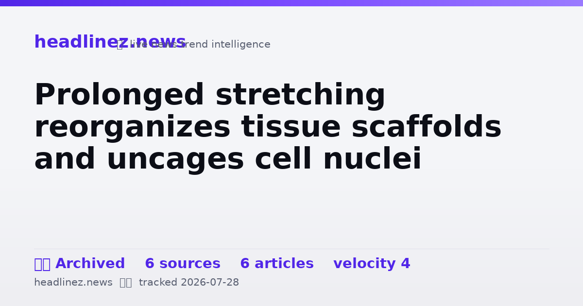 Visual summary for Prolonged stretching reorganizes tissue scaffolds and uncages cell nuclei