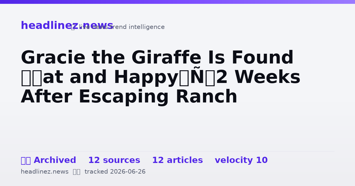 Visual summary for Gracie the Giraffe Is Found ‘Fat and Happy’ 2 Weeks After Escaping Ranch