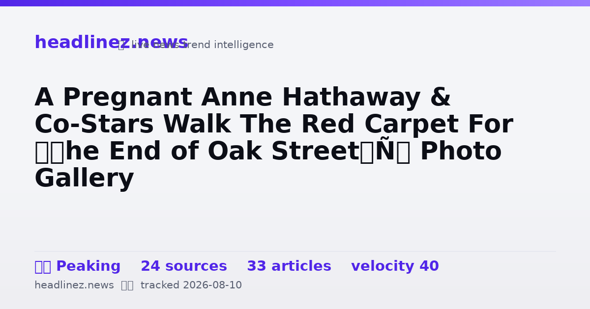 Visual summary for A Pregnant Anne Hathaway & Co-Stars Walk The Red Carpet For ‘The End of Oak Street’: Photo Gallery