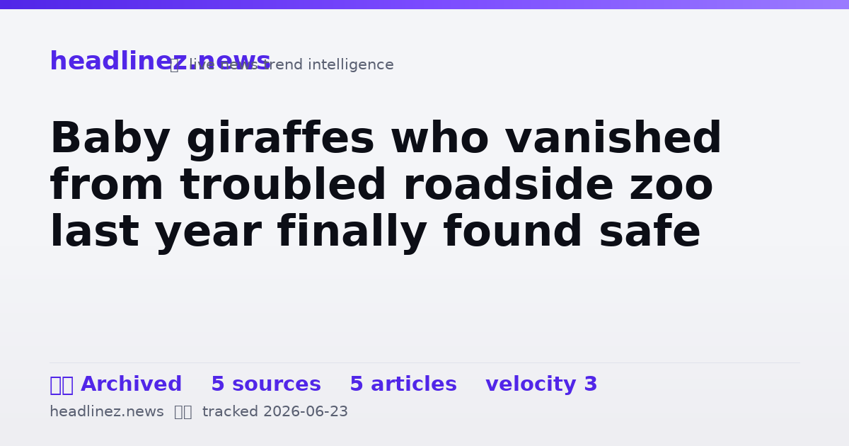 Visual summary for Baby giraffes who vanished from troubled roadside zoo last year finally found safe