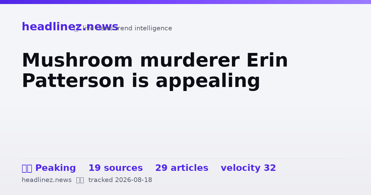 Visual summary for Mushroom murderer Erin Patterson is appealing