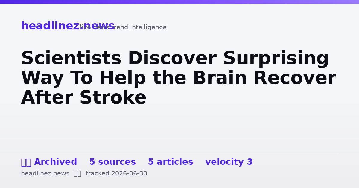 Visual summary for Scientists Discover Surprising Way To Help the Brain Recover After Stroke
