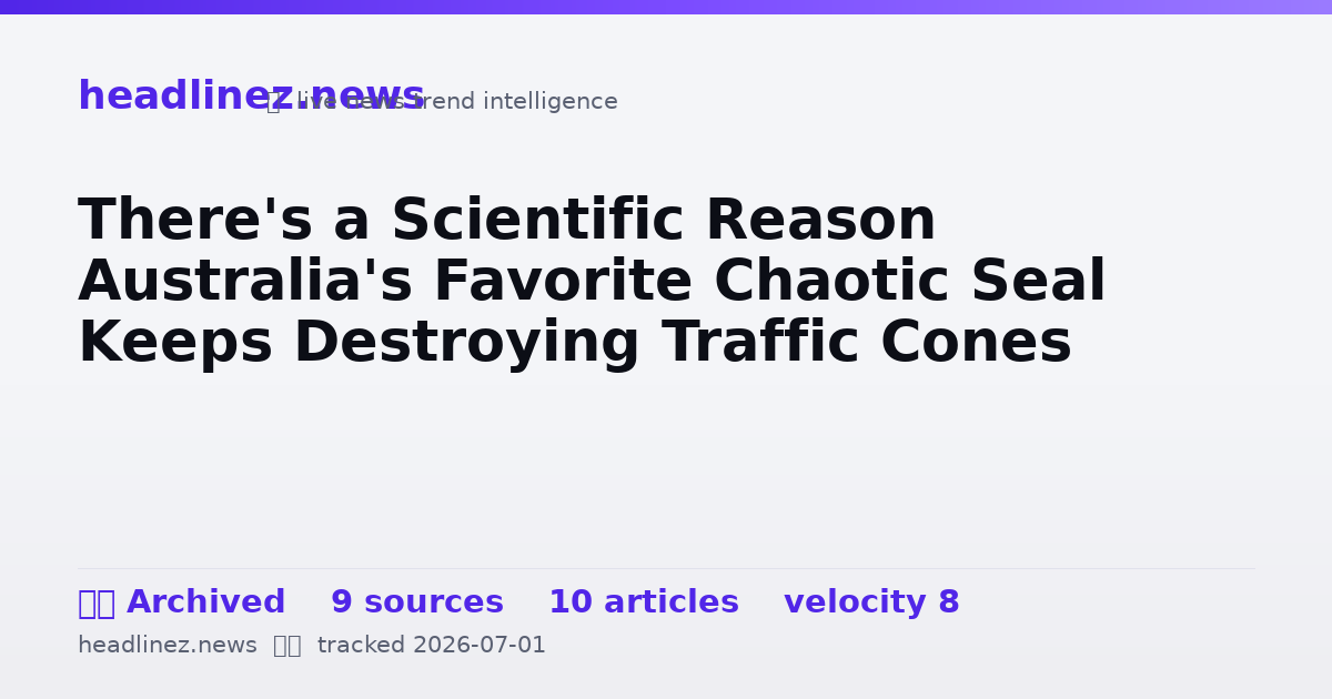 Visual summary for There's a Scientific Reason Australia's Favorite Chaotic Seal Keeps Destroying Traffic Cones