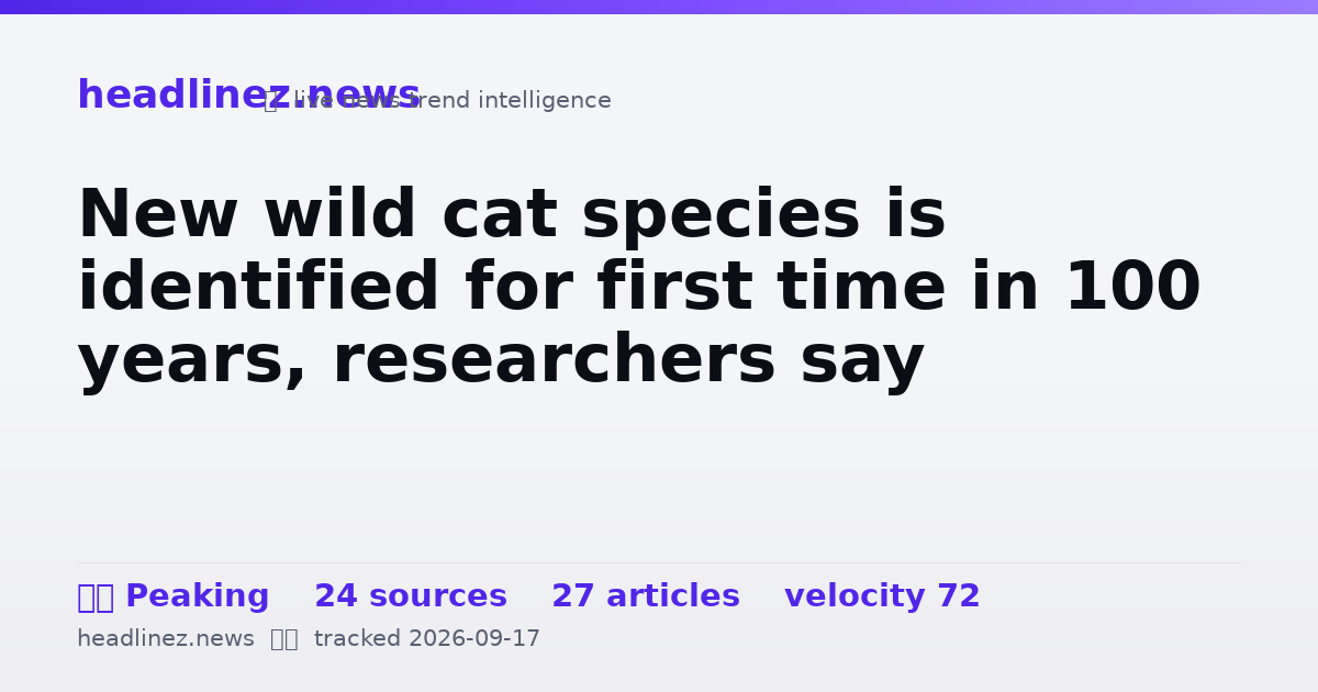 Visual summary for New wild cat species is identified for first time in 100 years, researchers say