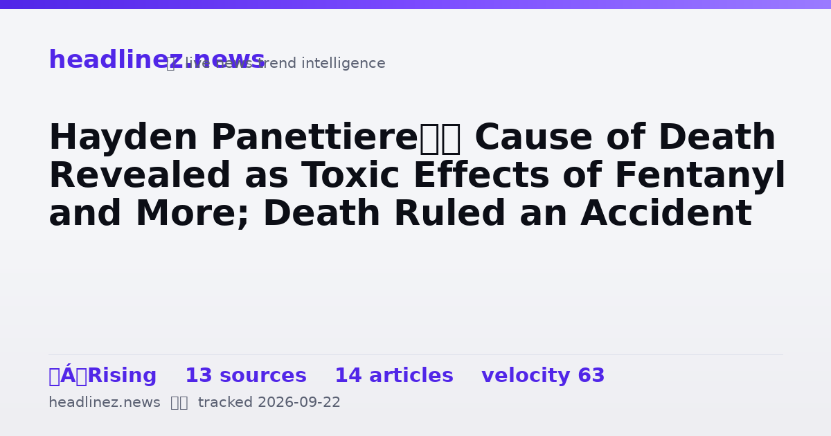Visual summary for Hayden Panettiere’s Cause of Death Revealed as Toxic Effects of Fentanyl and More; Death Ruled an Accident