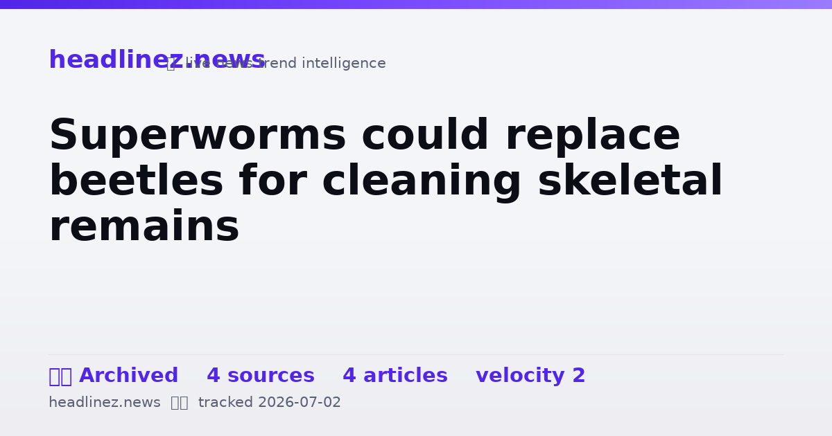 Visual summary for Superworms could replace beetles for cleaning skeletal remains
