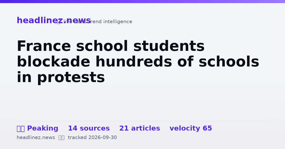 Visual summary for France school students blockade hundreds of schools in protests