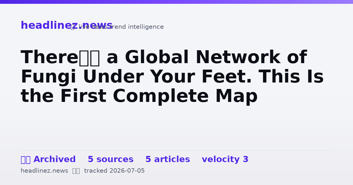 Visual summary for There’s a Global Network of Fungi Under Your Feet. This Is the First Complete Map