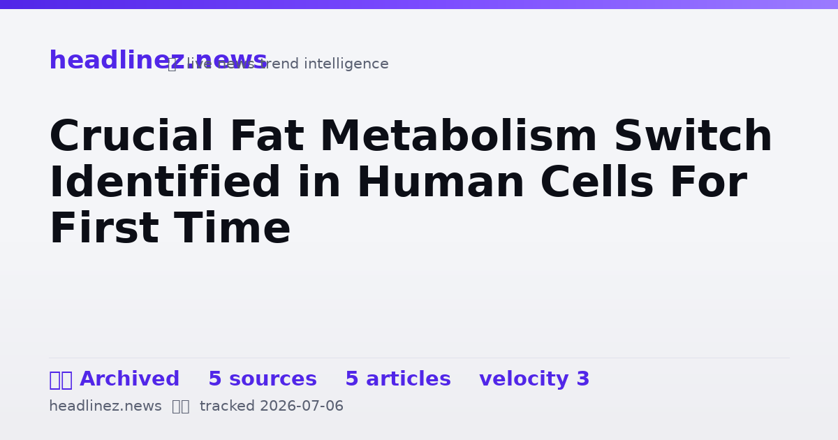 Visual summary for Crucial Fat Metabolism Switch Identified in Human Cells For First Time