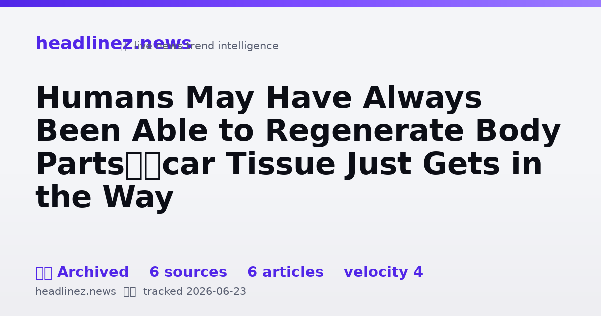 Visual summary for Humans May Have Always Been Able to Regenerate Body Parts–Scar Tissue Just Gets in the Way