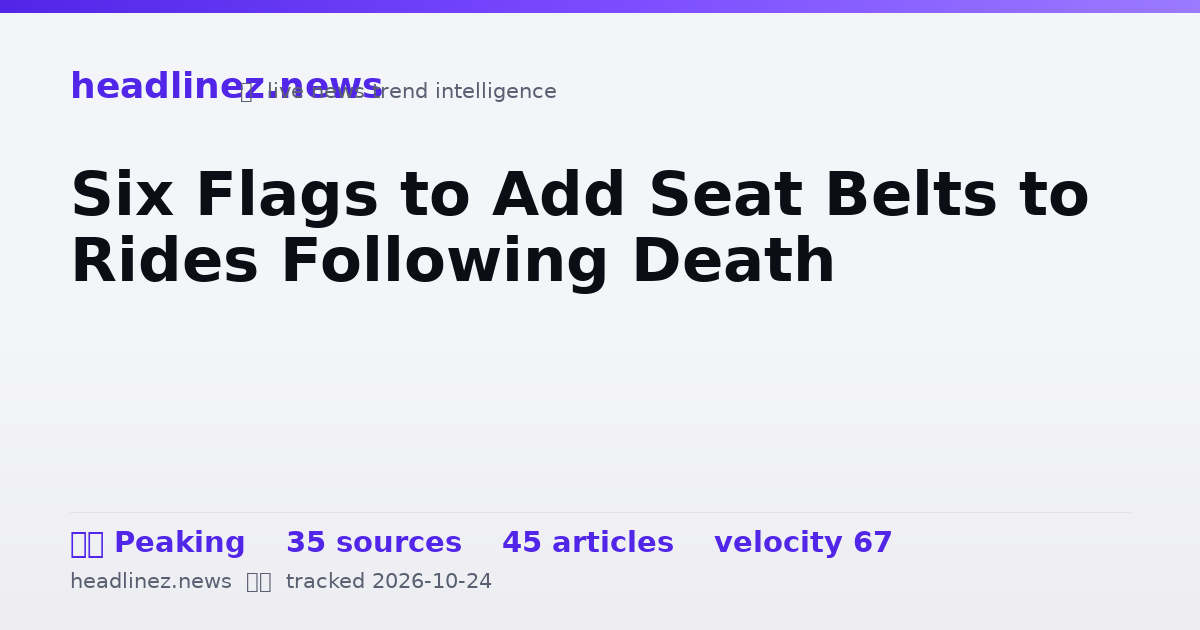Visual summary for Six Flags to Add Seat Belts to Rides Following Death