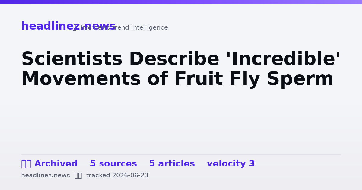 Visual summary for Scientists Describe 'Incredible' Movements of Fruit Fly Sperm