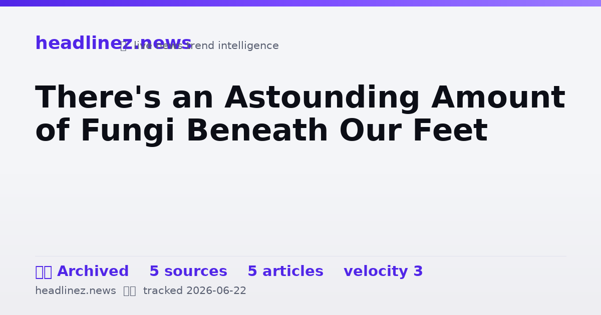 Visual summary for There's an Astounding Amount of Fungi Beneath Our Feet