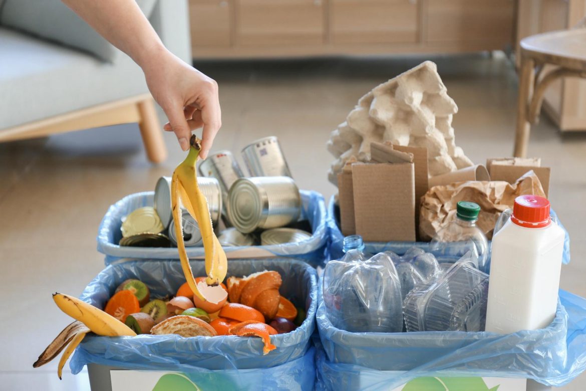 Food Waste Separation: NBC New York Explains