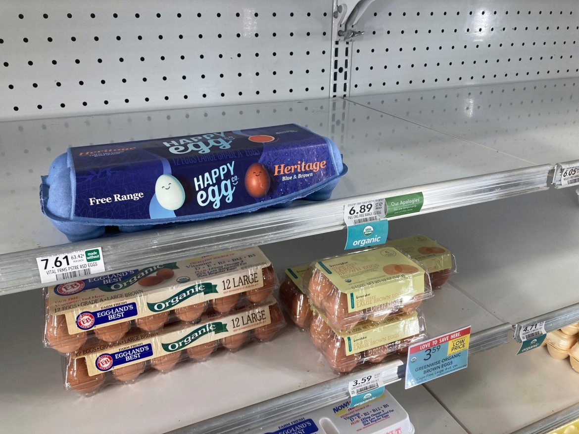 US Egg Shortage: Can Europe Step In Amidst Tariffs?