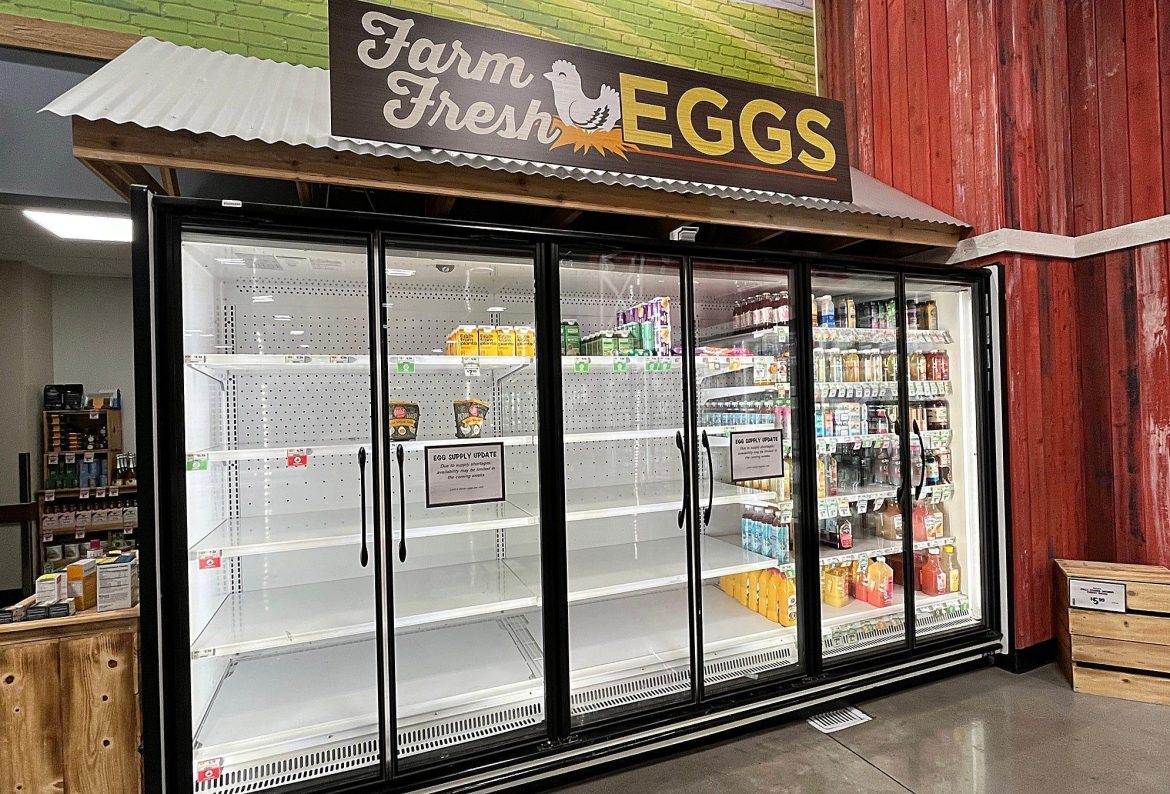 U.S. Egg Shortage: Why Not Canada?