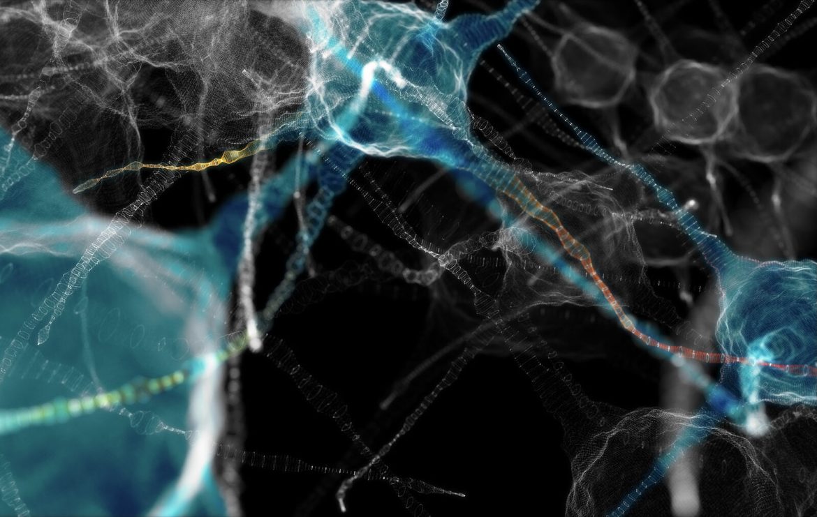 A Shift in Strategy: Strengthening Neuronal Resilience