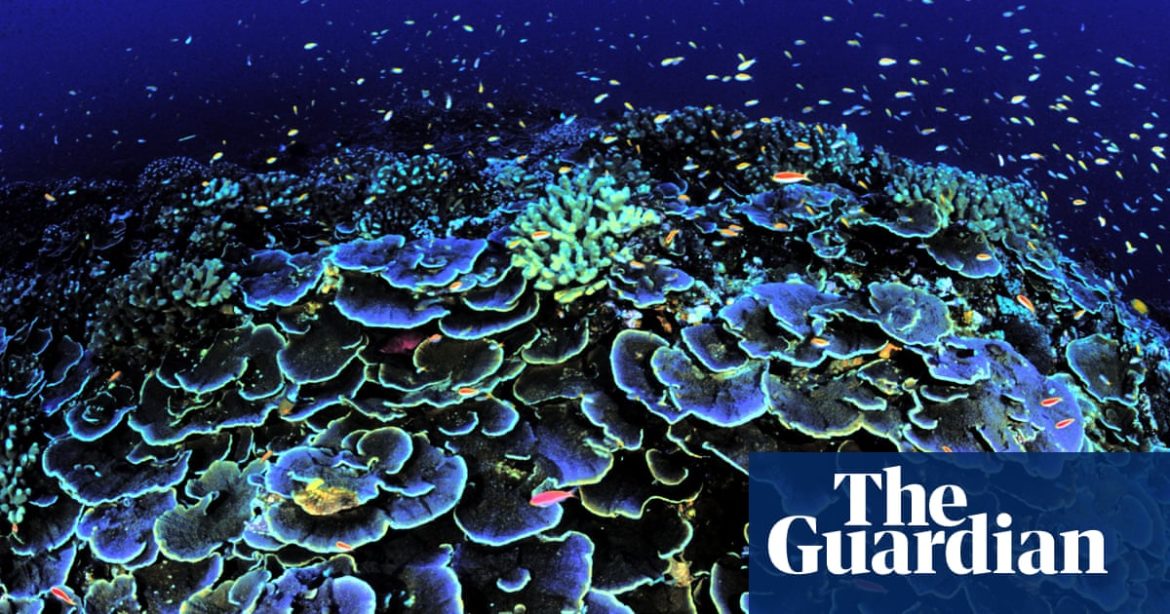 The Hidden World Beneath the Waves