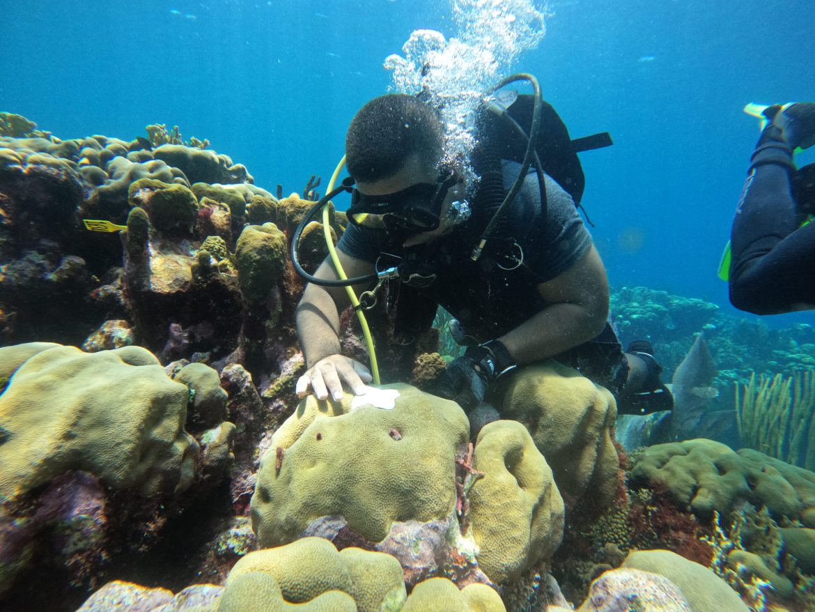 Historical Context of Coral Bleaching Monitoring