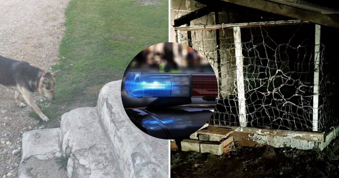 The Incident and Initial Police Response