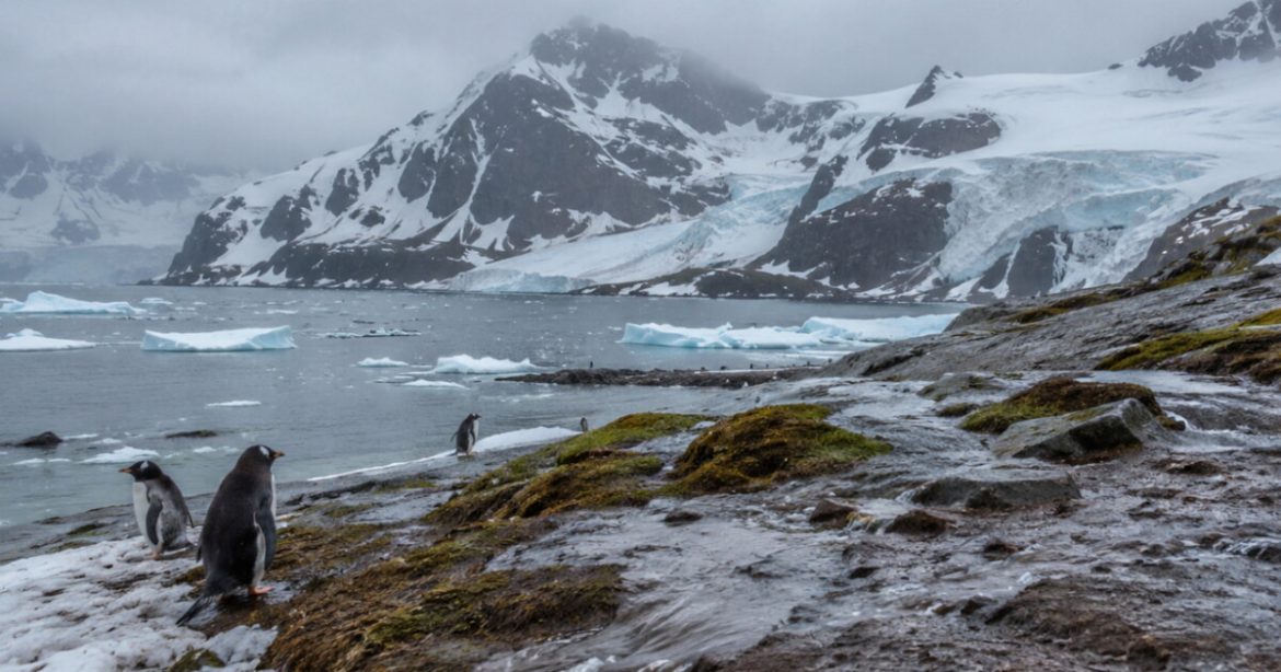 Historic Heat and Unprecedented Ice Loss